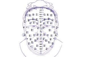 王红人面相学风水教学视频全集（相学风水班）