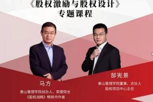 马方·股权激励与股权设计课程（共18集）
