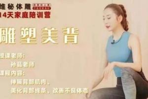 孙晶维密体雕课程_孙晶14天腰腹塑形体雕陪训营(带笔记)