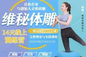 孙晶14天体态矫正训练管理课程