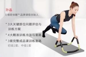 孙晶维密体雕之重现马甲线课程（带笔记）