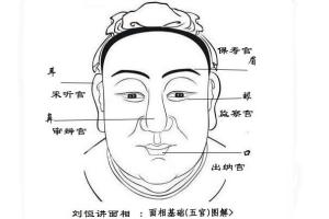 刘恒面相大讲堂视频全集（百度网盘）