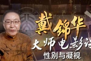 戴锦华性别与凝视课程_戴锦华大师电影课（百度网盘）