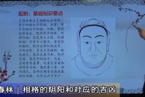 陈春林老师·梅花神相断面相课程