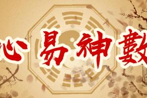 彭心融·心易神数课程:时空能量预测学网络授课班