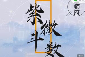 军师府·紫微斗数看盘基本知识_军师府紫薇斗数初级中级一体班