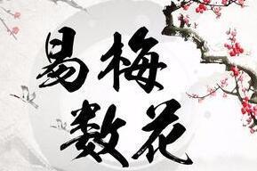 军师府·马修林:梅花易数基础入门初级中级一体班(辛丑年)