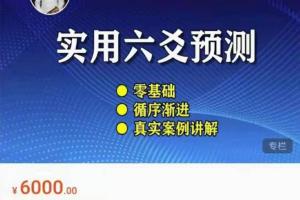 金玉章·简单实用的六爻预测音频课（价值6000）