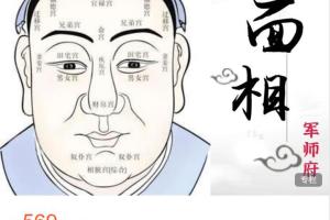 军师府·面相体相初中高级一体班（mp3）