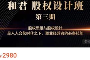 和君·股权激励设计班24讲（第三期)