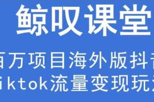鲸叹号传媒·海外TIKTOK训练营，一套能赚钱的tiktok流量变现玩法