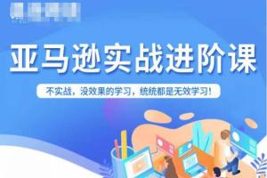 亚马逊FBA运营进阶课