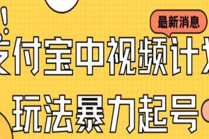 支付宝中视频玩法暴力起号教程（带素材）