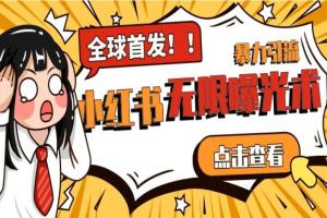 小红书无限曝光术pro版，全领域粉丝精准拿下