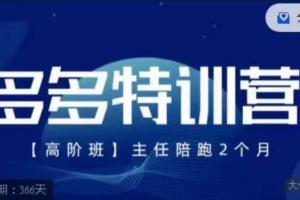 纪主任·拼多多特训营高阶班（9月13日更新）