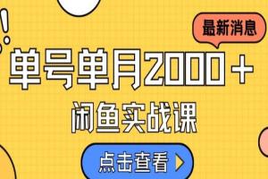 闲鱼虚拟资料赚钱零基础教程，跟着操作日入500＋
