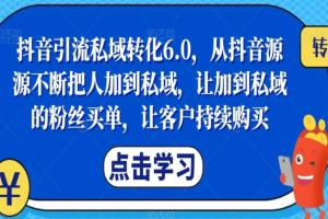 抖音引流私域转化课程6.0，从抖音源源不断把人加到私域，让客户持续购买