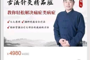 高义·古法针灸疼痛高级班(百度网盘)