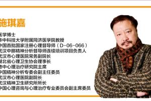 施琪嘉心理课程合集（百度网盘）