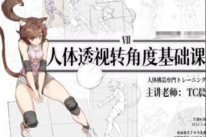 TC晨透视转角度基础课第7期(2023年)