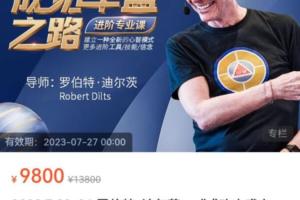 罗伯特·迪尔茨:成功丰盛之路进阶专业课