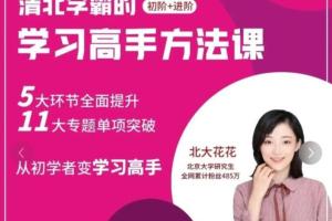 北大花花老师·学习高手方法课139节（初阶 进阶）