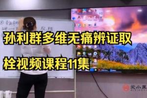 孙利群·多维无痛辨证取栓视频课程
