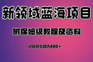 2023虚拟资源蓝海领域新项目教程，轻松日入800＋，附保姆级教程及资料