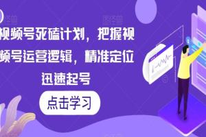 视频号运营逻辑课程，精准定位迅速起号
