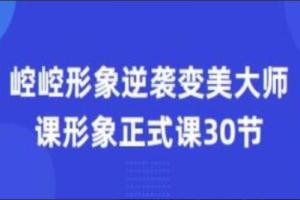 崆崆形象美学正式课程30节（百度网盘）