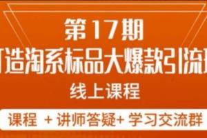 南掌柜·打造淘系标品大爆款第17期
