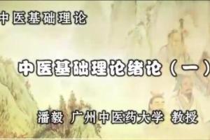 潘毅·闻道中医—推天檤以明医事(35集)