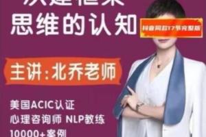 北乔老师·重建框架思维的认知17集