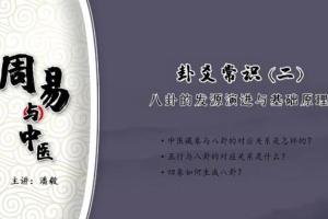 潘毅·周易与中医（视频）