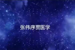 张伟·序贯平衡量变针灸课程