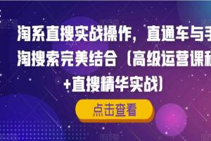 淘系直通车与手淘搜索课程（高级运营课程 直搜精华实战）