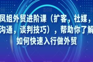 凤姐外贸进阶课(扩客,社媒,沟通,谈判技巧),帮助你了解如何快速入行做外贸
