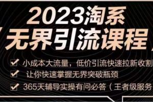 2023淘系无界引流实操课程，低价引流快速拉新收割，让你快速掌握无界突破瓶颈