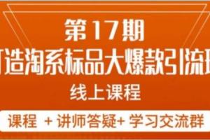 南掌柜·打造淘系标品大爆款5天线上课（第17期）