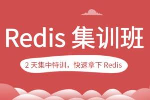 蒋德钧的Redis集训班(百度网盘)