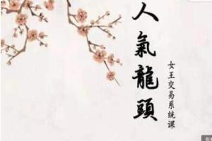 低吸女王人气龙头周期系统课程(带课件)