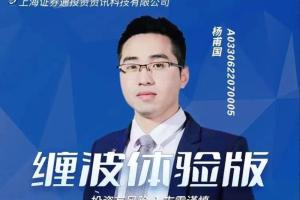 杨甫国·缠波体验版