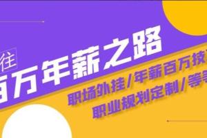 沙拉姐·通往百万年薪之路陪跑训练营：职场外挂/年薪百万技巧/职业规划定制/等等