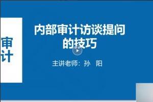 中华会计网校孙阳:内审如何访谈提问视频 讲义(2022年)