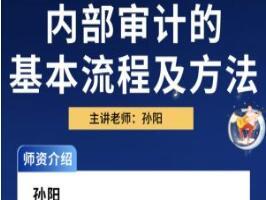 中华会计网校孙阳：内部审计方法及流程（视频）