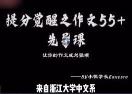 小恒学长·Ernesto提分觉醒之作文55 作文课（百度网盘）