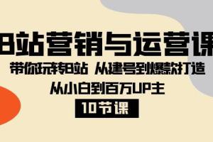 b站运营技巧课:带你玩转B站从建号到爆款打造从小白到百万UP主