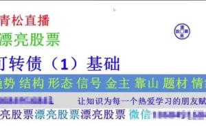 高青松·可转债、ETF、国债视频（百度网盘）