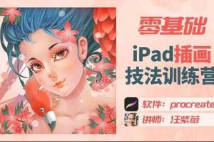 汪紫薇·零基础IPAD插画技法课程（百度网盘）