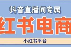 2023小红书电商高级运营课程（实操教学 案例分析）